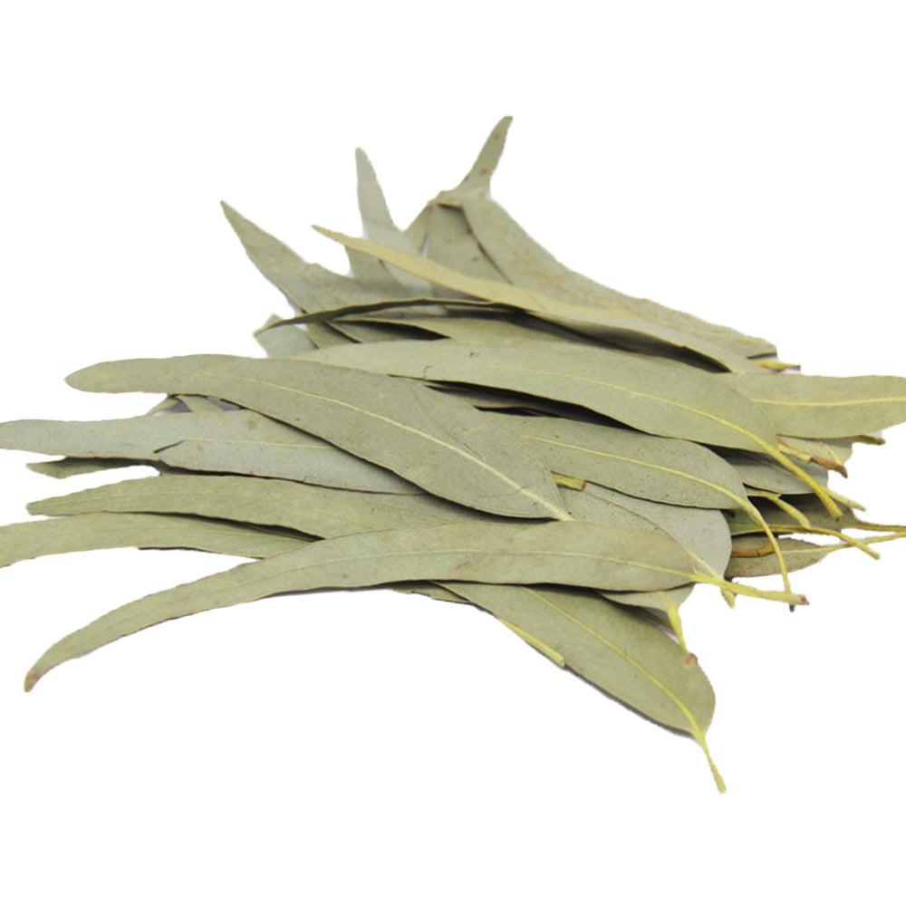 HOLFLYING eucalyptus leaves steeping in hot water for aromatic tea
