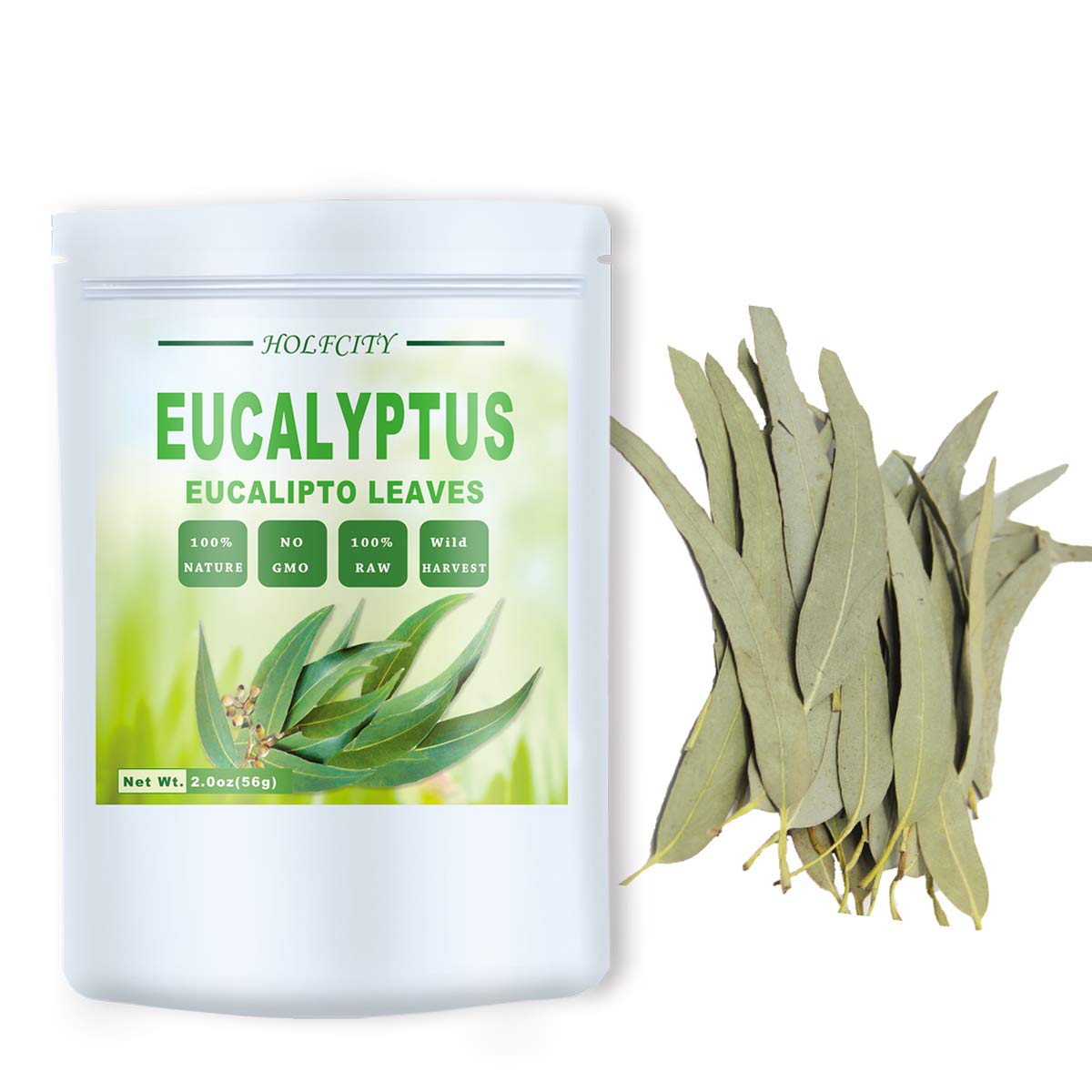 HOLFLYING eucalyptus leaves tea infusion ready to brew fragrant tea