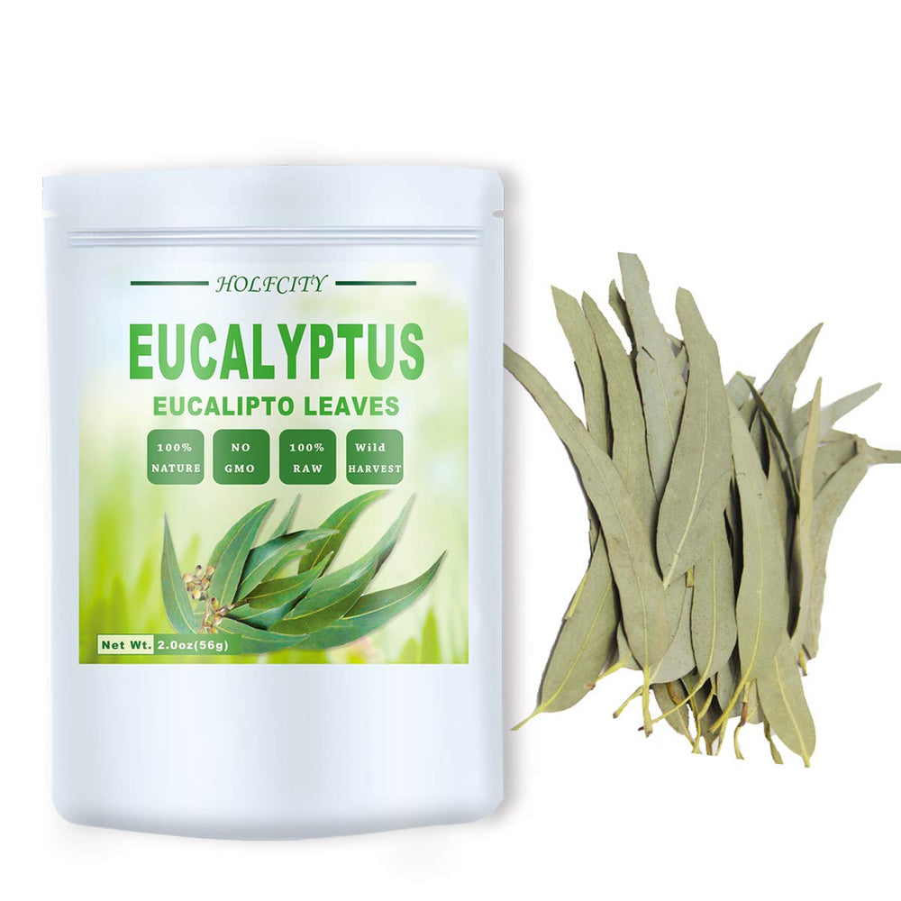 HOLFLYING eucalyptus leaves tea infusion ready to brew fragrant tea