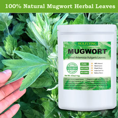 HOLFLYING mugwort leaves loose-leaf tea, great for calming afternoon rituals.