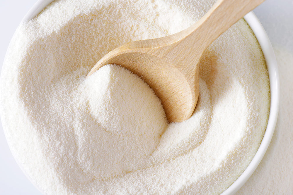 Hollander Masterpiece White Chocolate Powder ready to elevate desserts and beverages