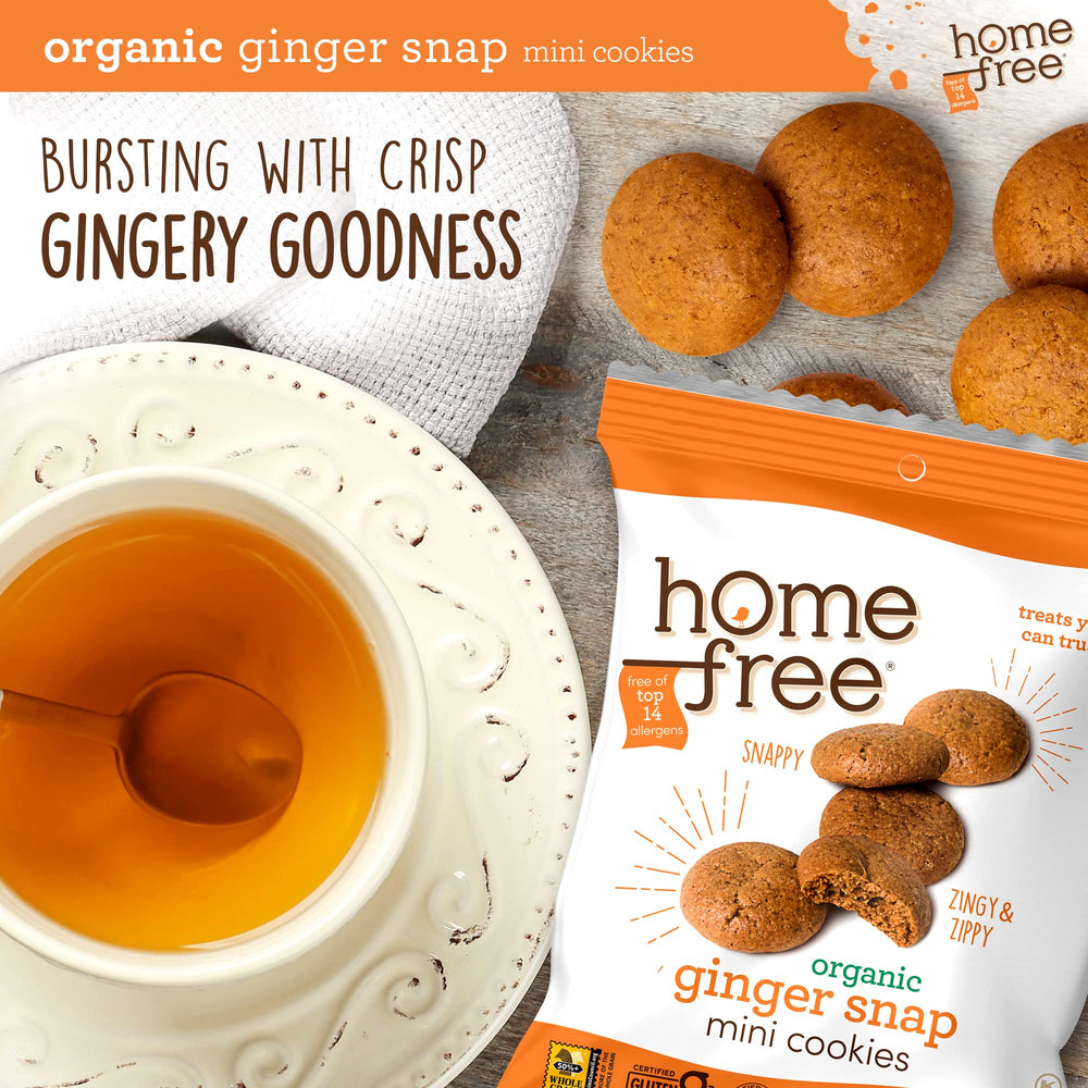 Homefree Mini Ginger Snap in lunchbox demonstrates portable school snack.