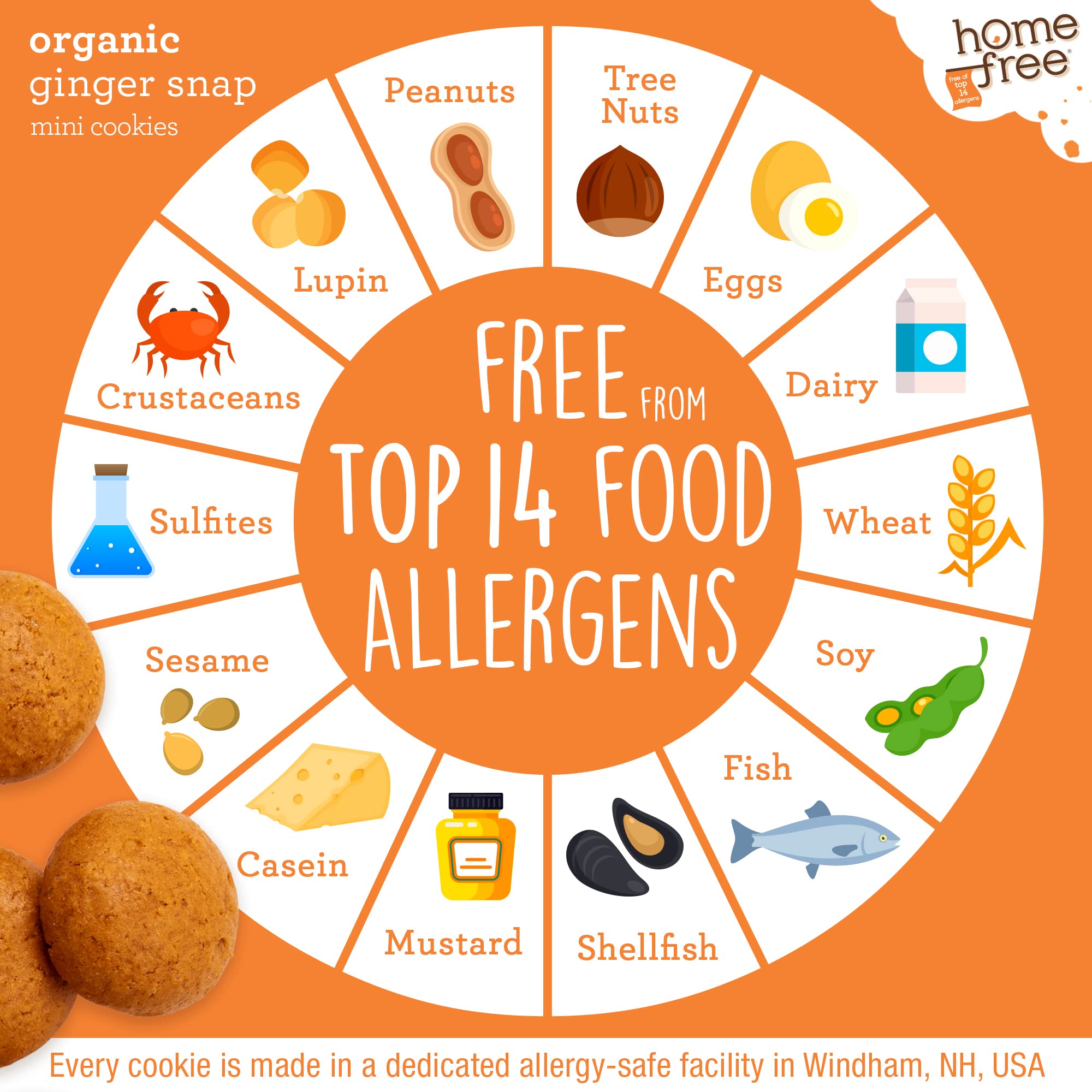 Homefree Mini Ginger Snap ingredient list highlights organic and free-from claims.
