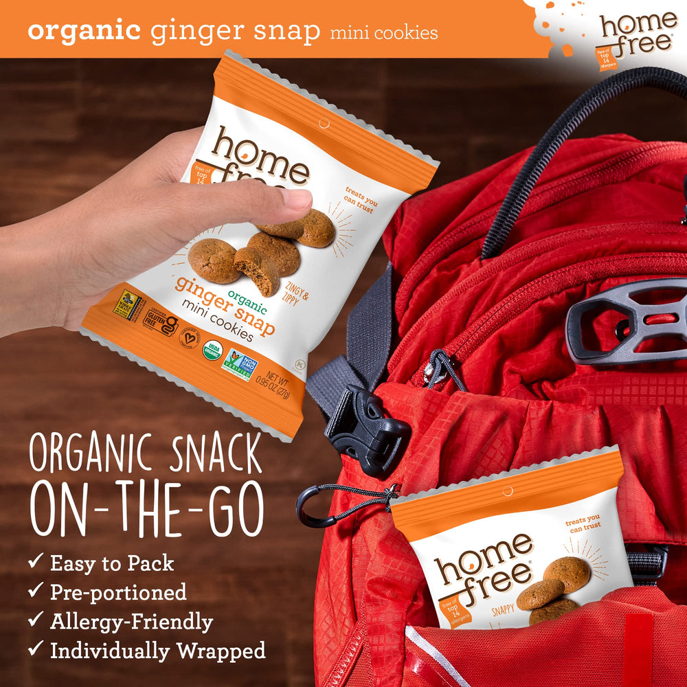 Homefree Mini Ginger Snap serving size image emphasizes convenient 0.95 oz packs.
