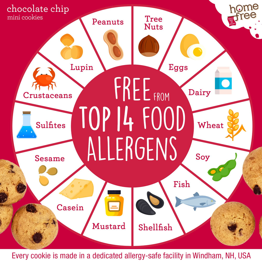 Homefree nut-free dairy-free vegan production line emphasizes inclusive snack options