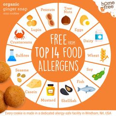 School-safe snack scene with cookies in a lunchbox for kids.