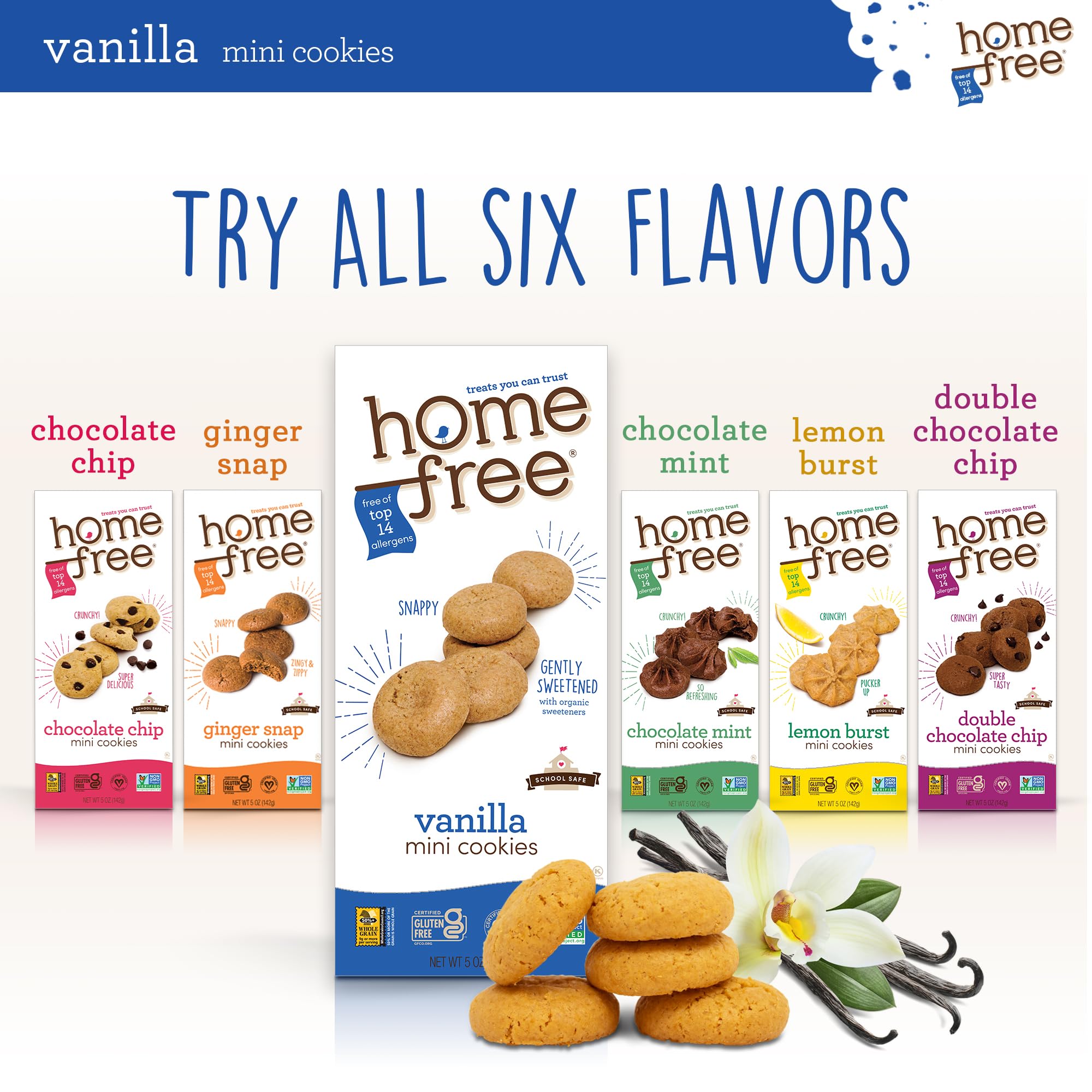 Homefree school-safe snack setup, kid-friendly box on lunch table.