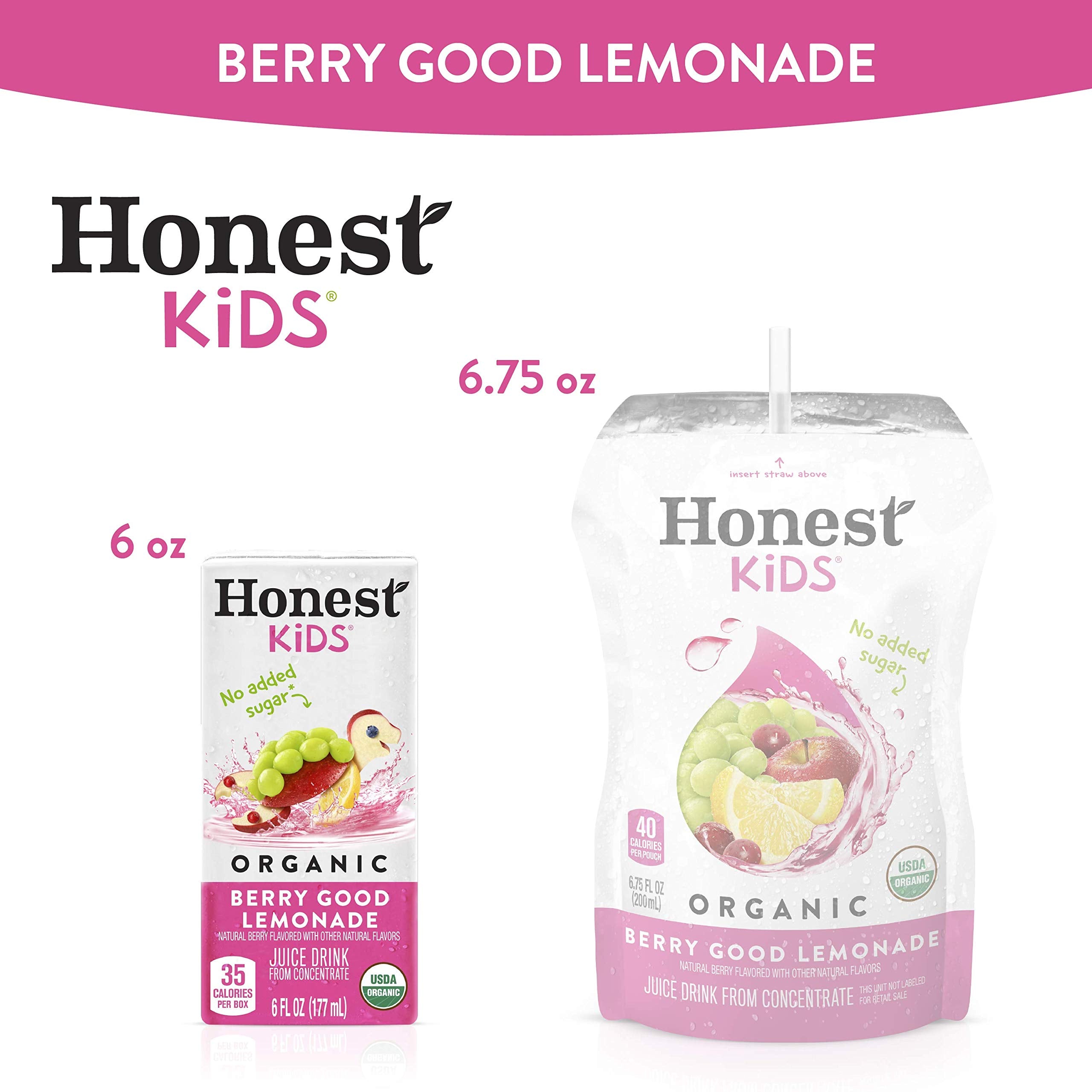 Honest Kids Berry Good Lemonade lunchbox image shows portable, kid-friendly refreshment.