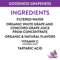 Honest Kids Goodness Grapeness lunchbox scene with a kid-friendly juice box