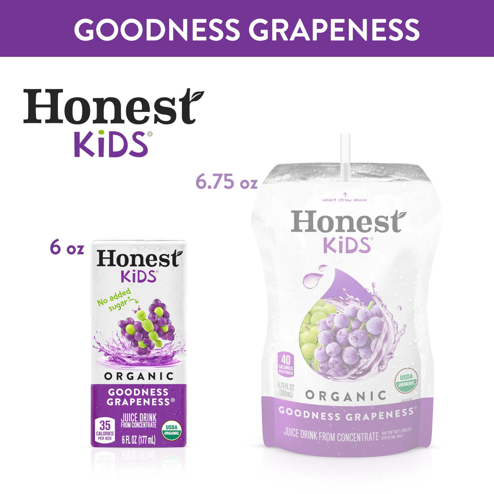 Honest Kids Goodness Grapeness multi-pack display for family snacks