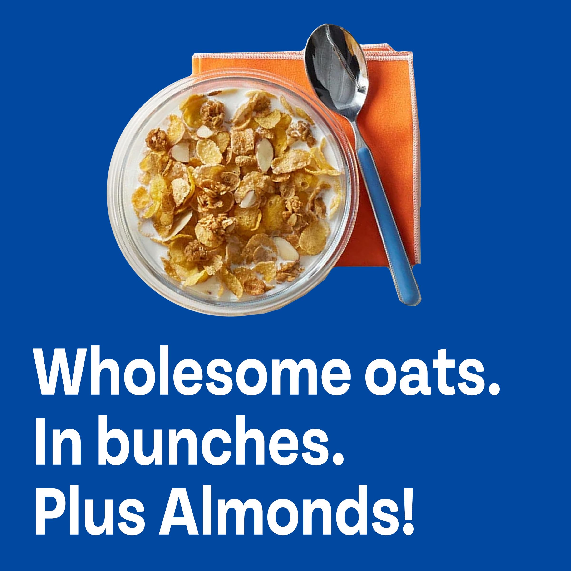 Honey Bunches of Oats with Almonds sliced almonds closeup highlights almond flavor