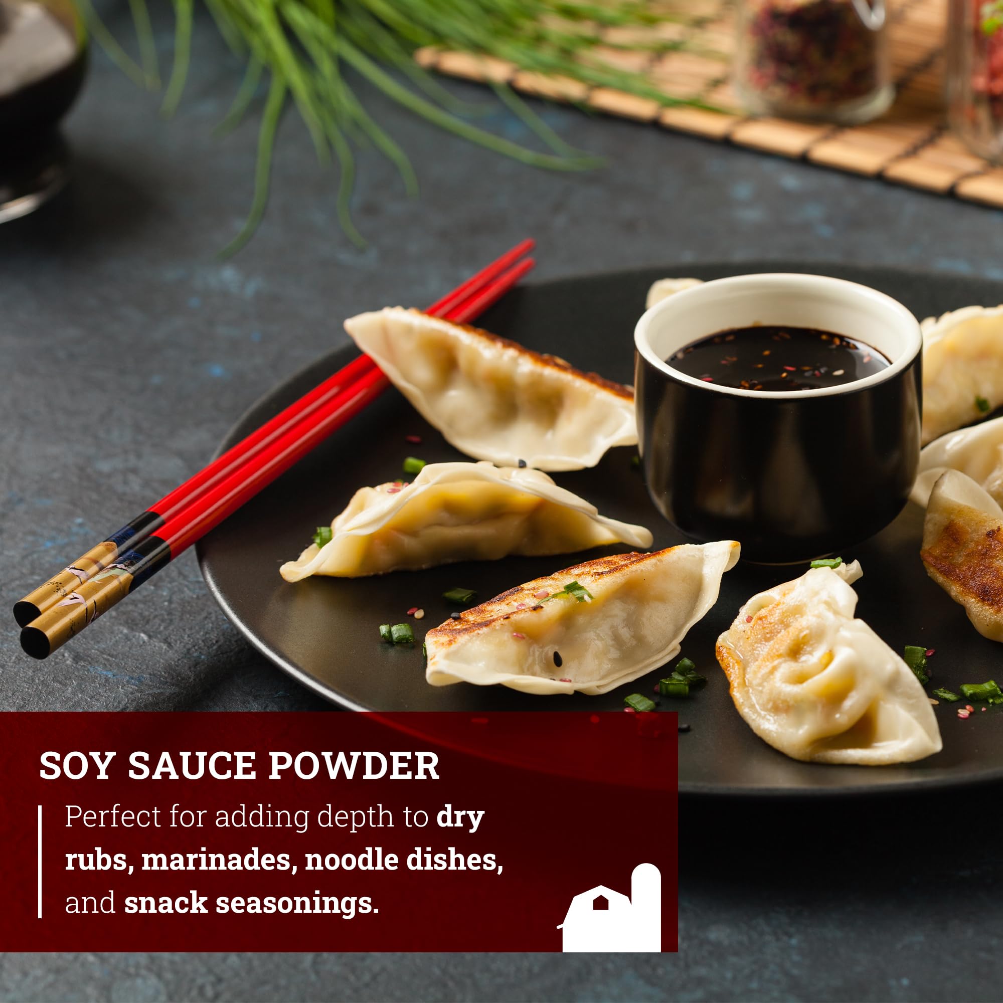 Hoosier Hill Farm Soy Sauce Powder on dry rub for grilled meats
