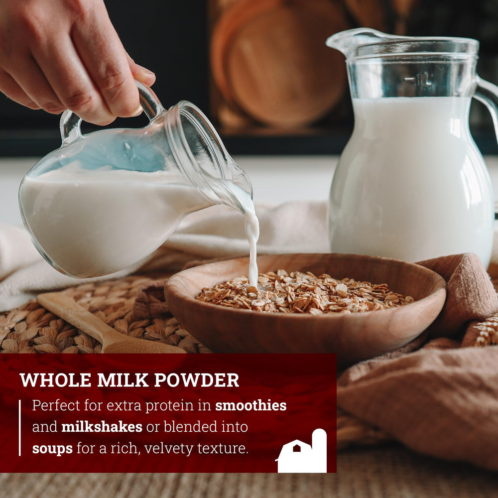 Milk powder in sauces delivering velvety, dairy-forward flavors.