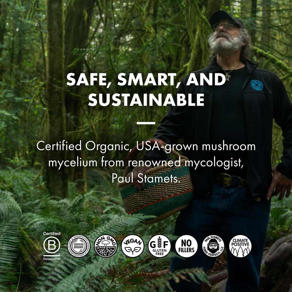 Packaging highlights organic cocoa and clean ingredient standards