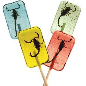 Hotlix Scorpion Lollipop multi-flavor in bright colors, ideal for gifting and parties