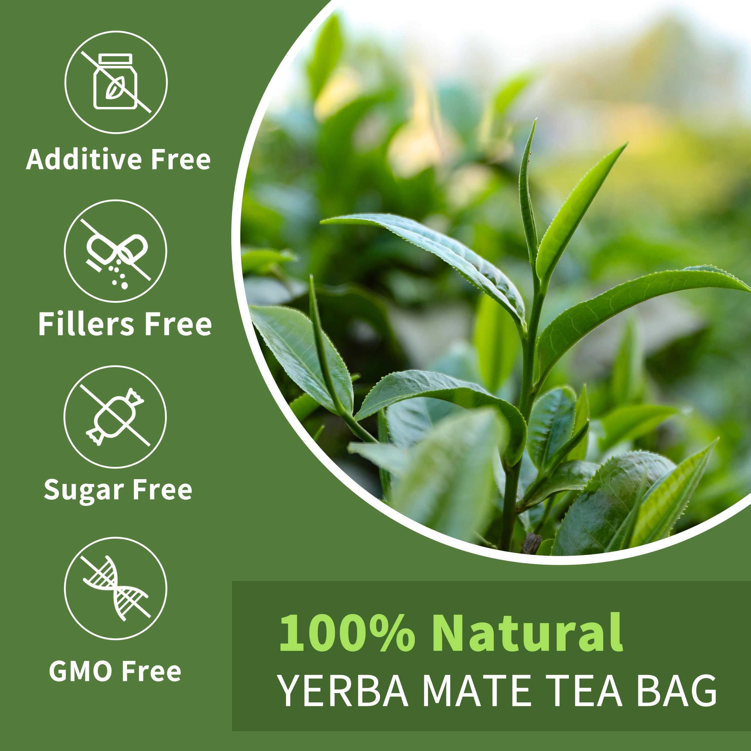 Hudetex authentic Argentinian yerba mate from Misiones farms with earthy notes