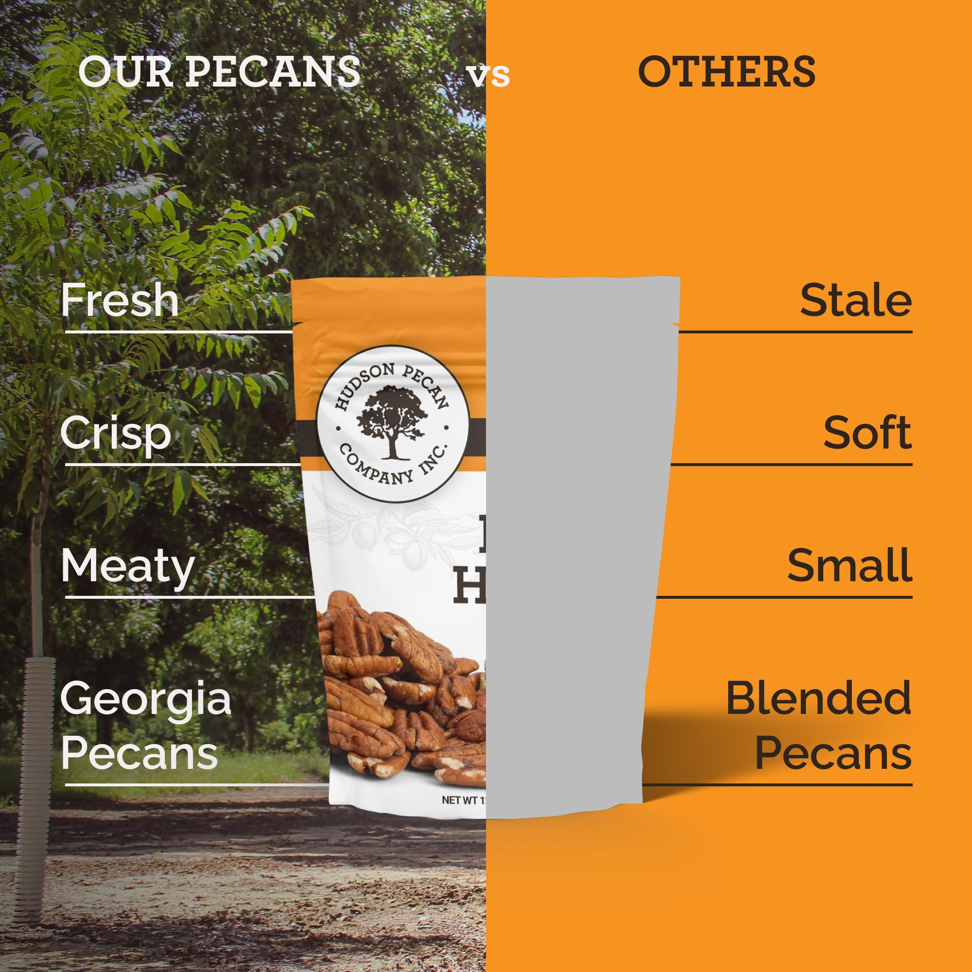 Hudson Pecan Company Georgia pecans ideal for gluten-free diets