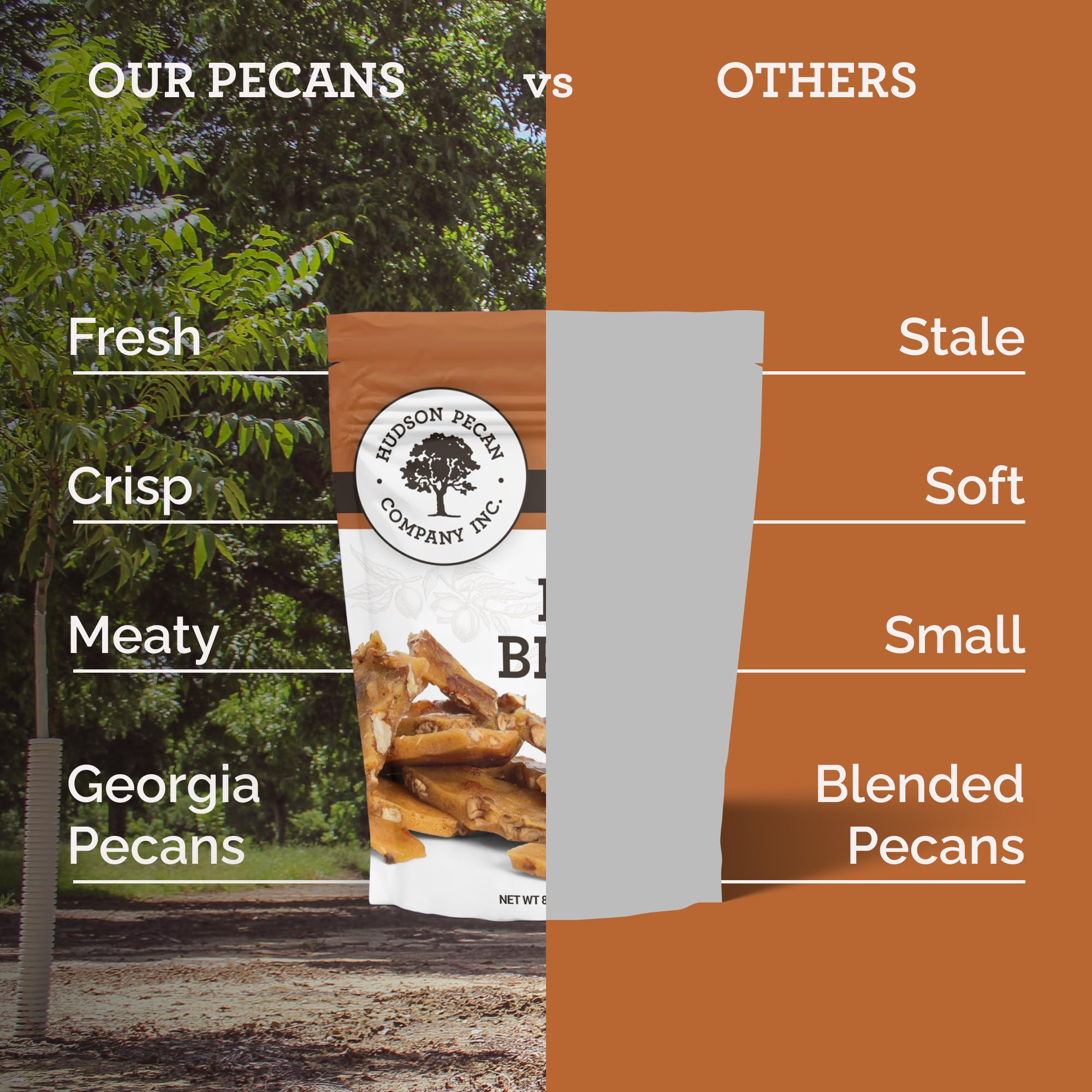 Hudson Pecan Company pecan brittle gift idea for gifting occasions