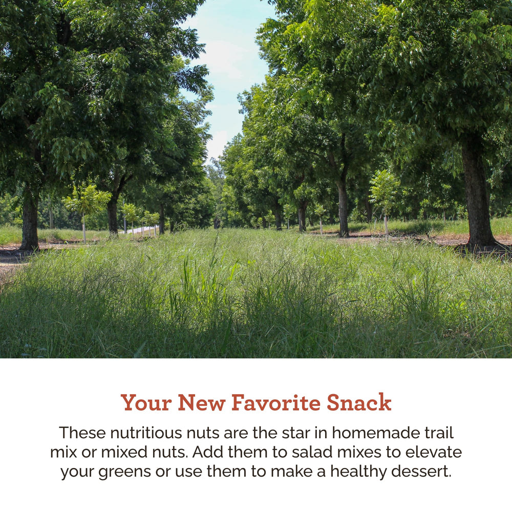 Hudson Pecan Company pecan halves topping smoothies for flavor boost