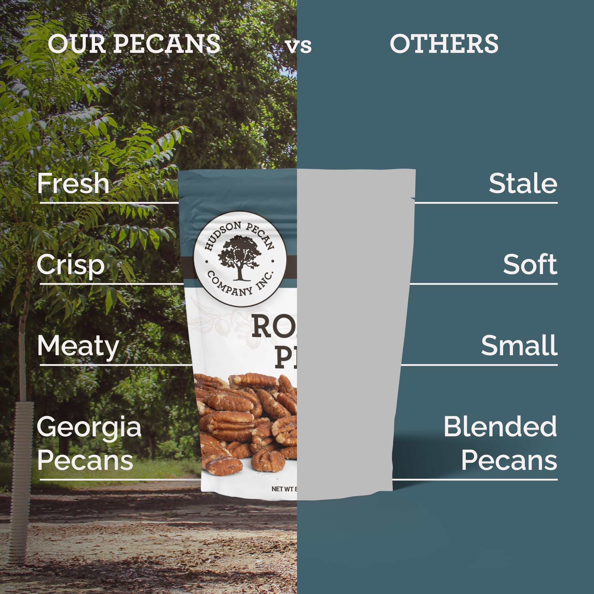 Hudson Pecan Company Pecans in baking dish, great for desserts.