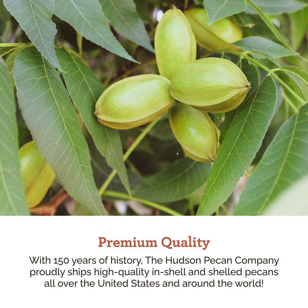 Hudson Pecan gift-ready pack presented as a premium treat from Georgia.