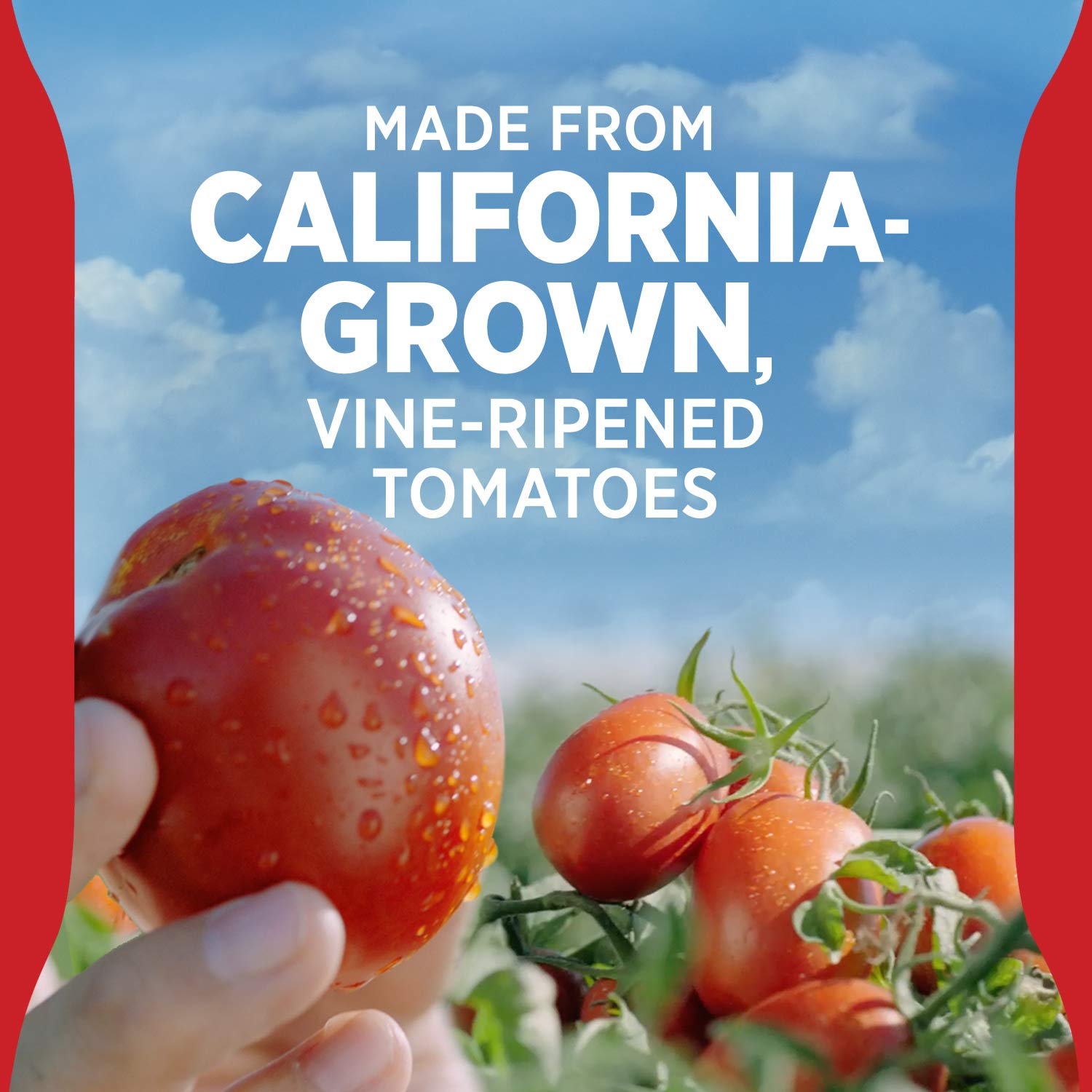 Hunt's Best Ever Ketchup enhances burgers with rich tomato flavor