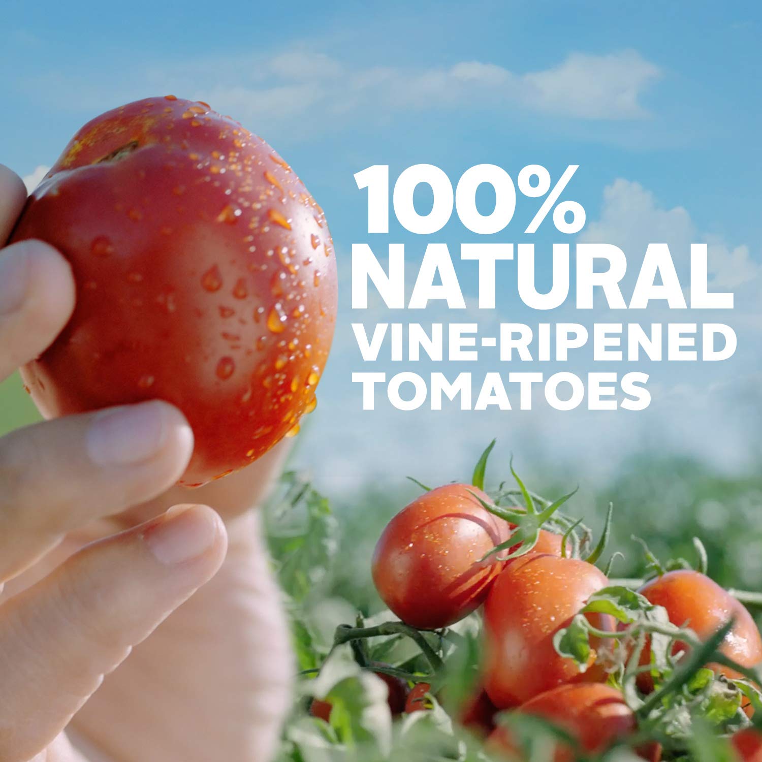 Hunt's Keto-friendly sauce has 0g added sugar per serving.