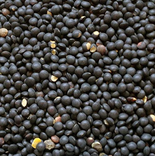 Cooked Hunza Black Beluga Lentils plated as a hearty side dish.