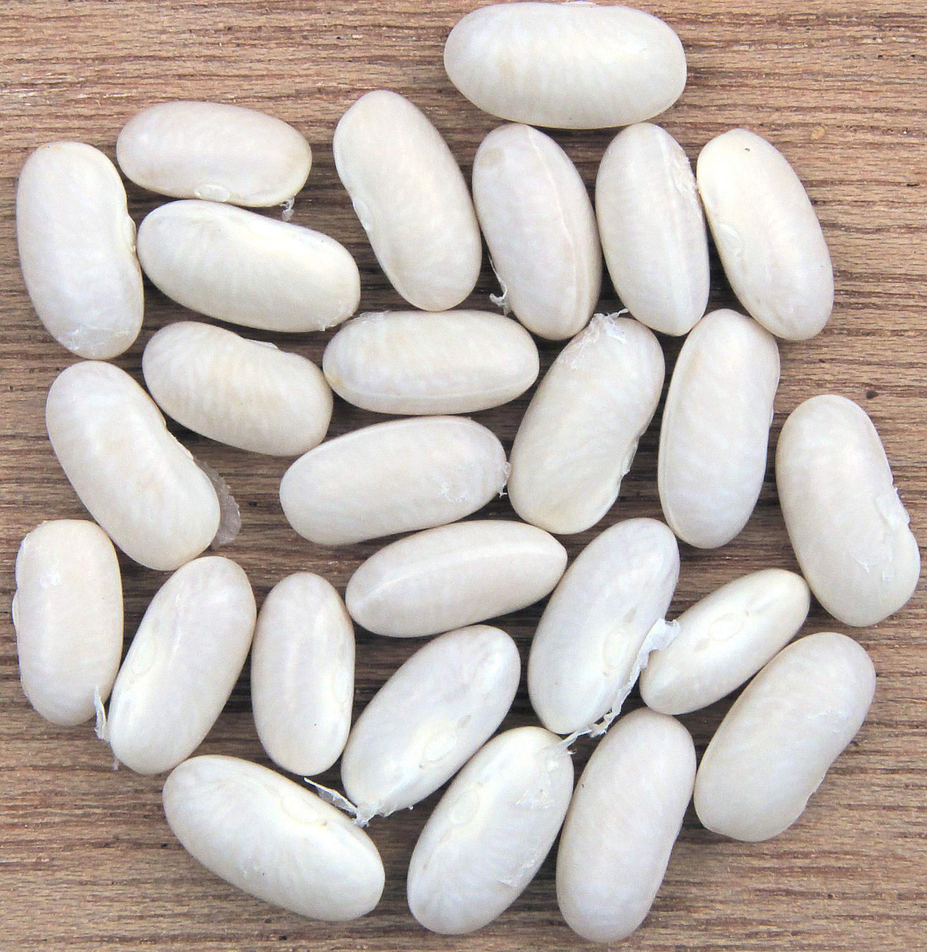 Hunza Organic Cannellini Beans stand-up pouch for freshness and pantry convenience.