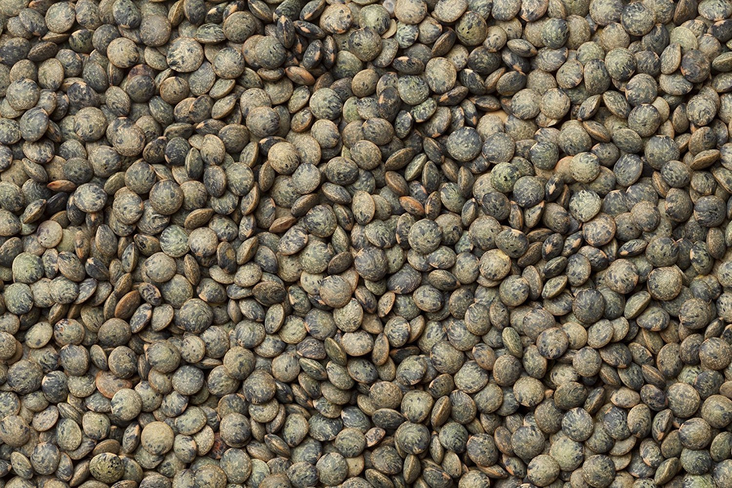 Chef-ready Hunza French Lentils perfect for stews and more.