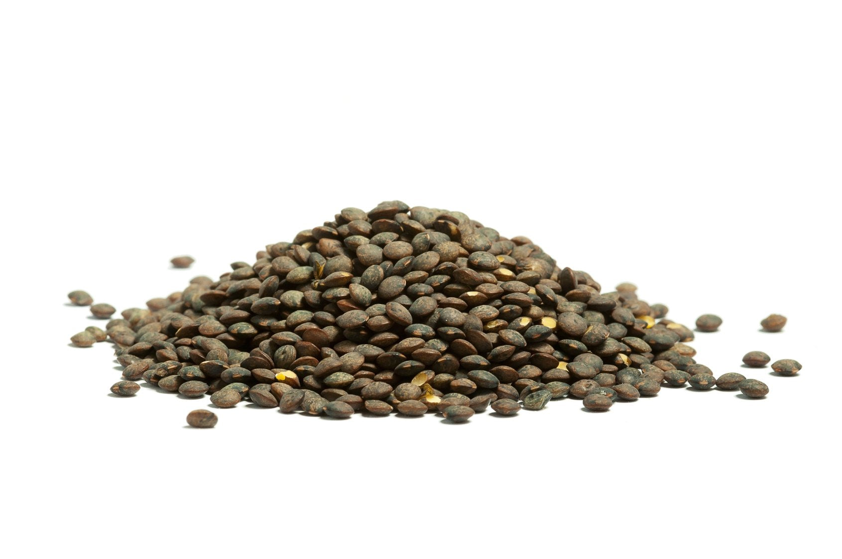 Hunza Organic French Lentils locally grown in the United States.