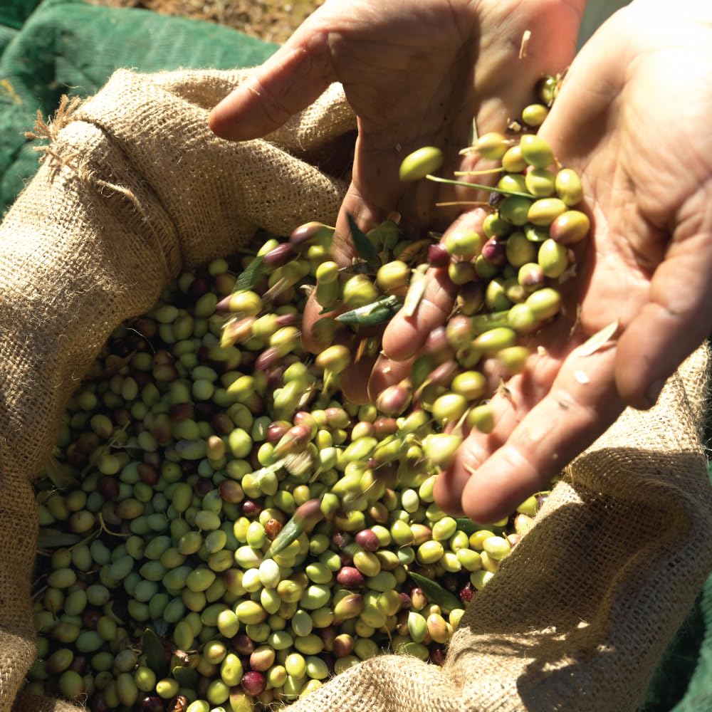 Iliada Kalamata PDO oil label emphasizing traceability and freshness.