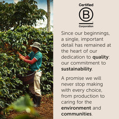 illy Arabica 100 percent blend highlights a premium coffee profile.