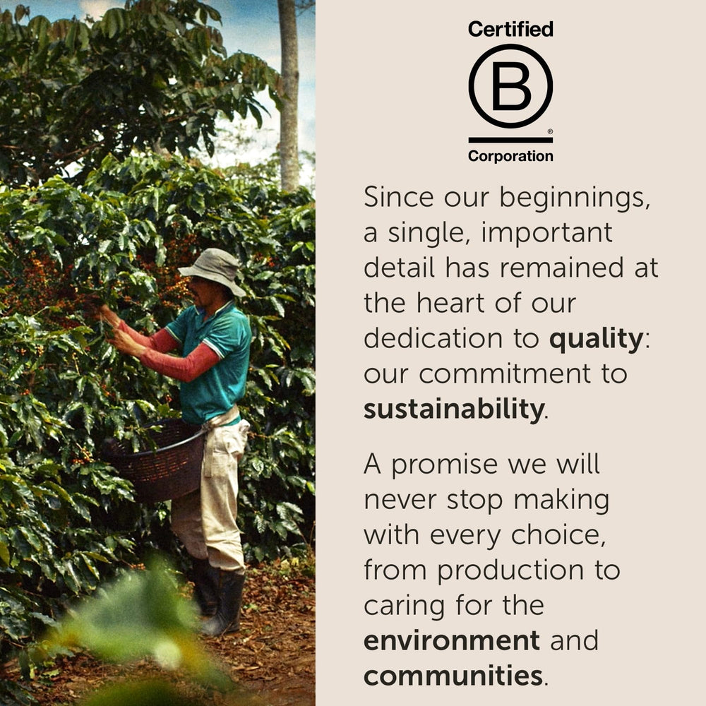 illy Arabica blend Classico Decaf note highlights balanced flavor for daily enjoyment.