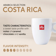 illy Costa Rica medium roast beans close-up showing rich color for quality extraction.