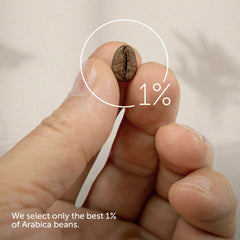 Illy Classico aroma shot highlights caramel and floral notes.