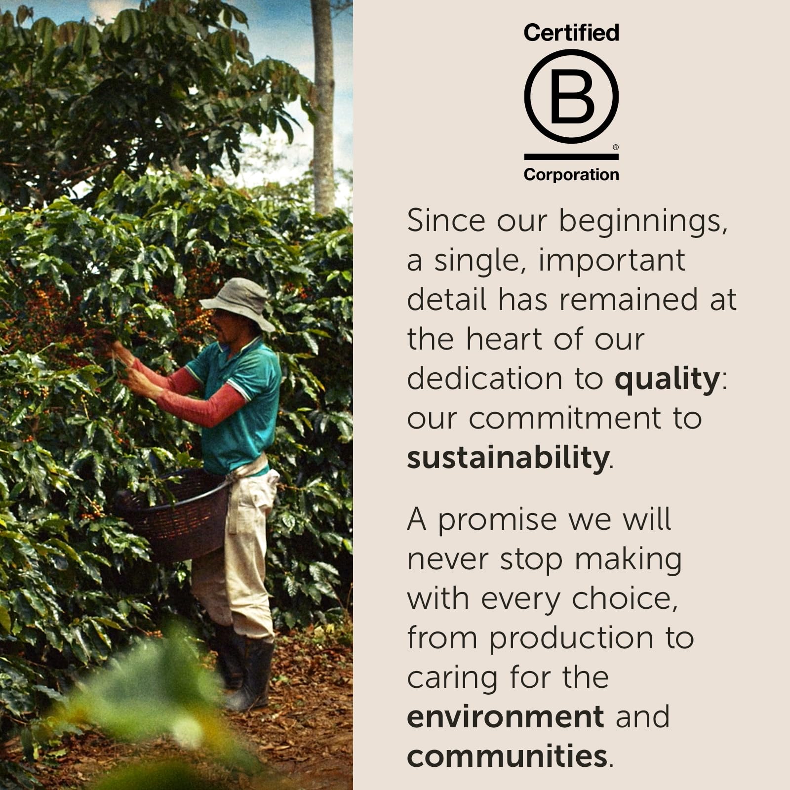 illy sustainability focus with farmer partnerships powering responsible sourcing