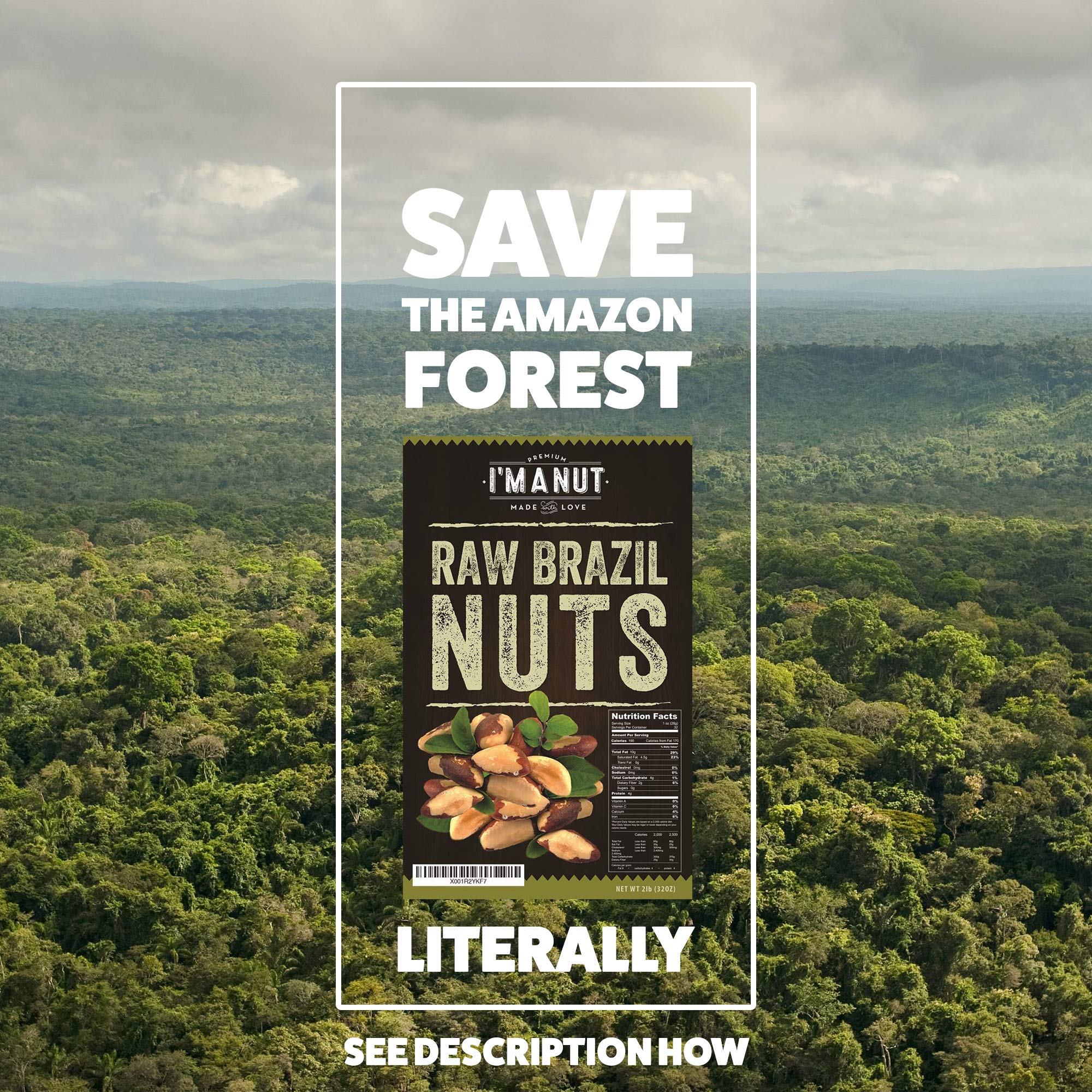 I'm A Nut Brazil nuts in a bowl, ideal for trail mixes and healthy snacks.
