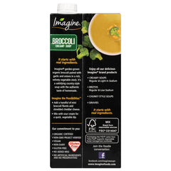 Imagine Organic Creamy Broccoli Soup steaming bowl conveys comforting aroma and texture.