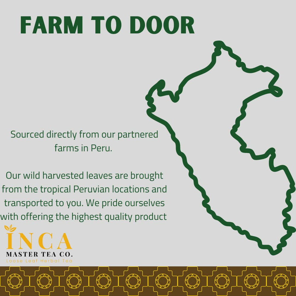 INCA MASTER TEA Amazon wild harvest highlighting sustainable sourcing
