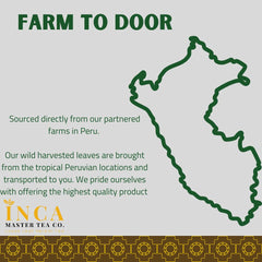 INCA MASTER TEA Amazon wild harvest highlighting sustainable sourcing