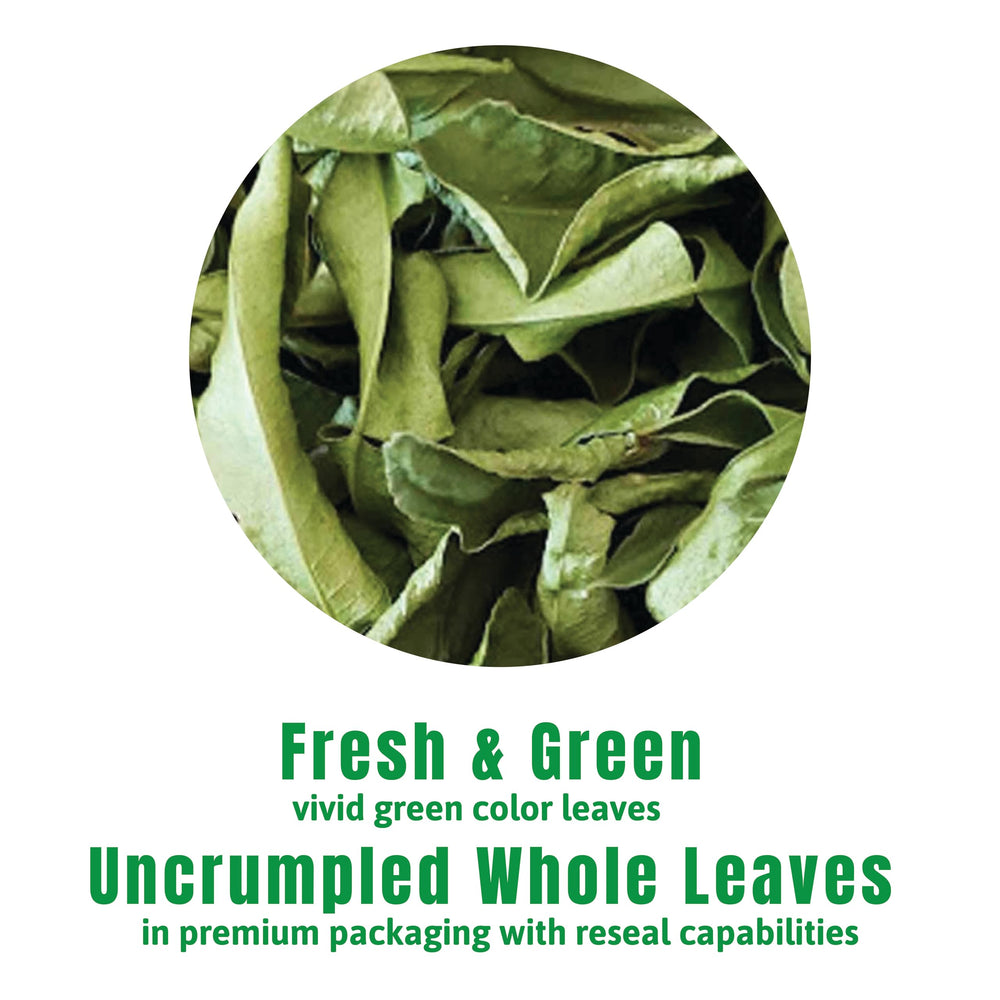 Incas Makrut Lime Leaves aroma suggesting vibrant citrus lift for sauces and marinades