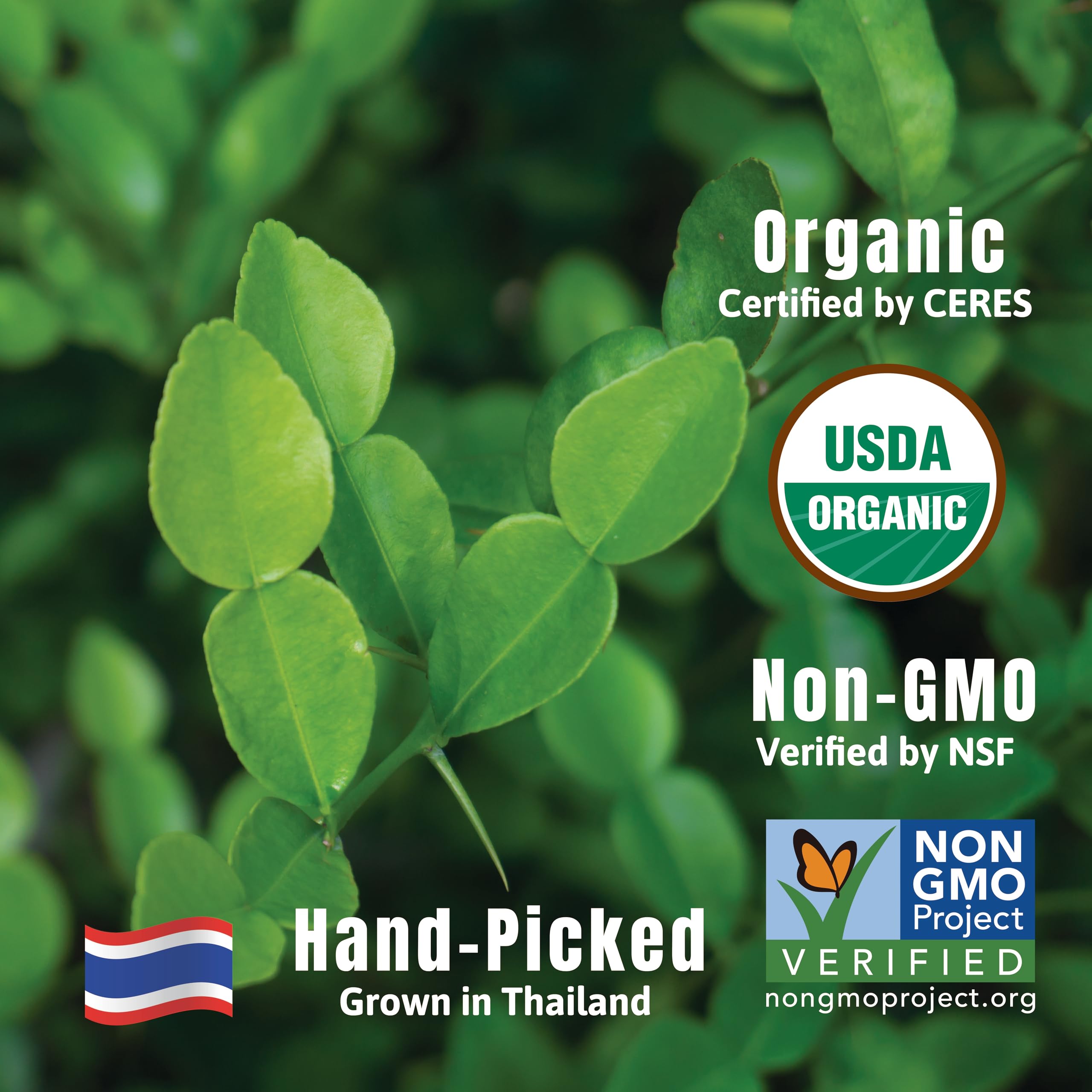 Incas Makrut Lime Leaves dried bag showcasing USDA Organic quality and freshness