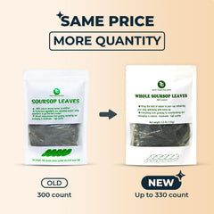 INJOY YOUR VITALGRI:N handpicked soursop leaves for rich aroma and soothing tea.
