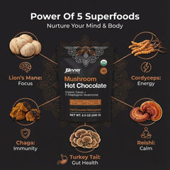 Close-up of cacao powder and mushrooms shows ceremonial blend