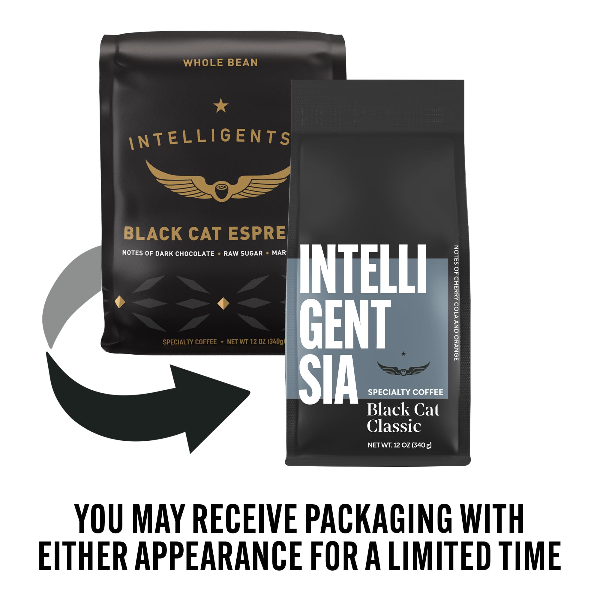 Intelligentsia Black Cat Classic Espresso beans closeup reveals glossy, aroma-rich beans