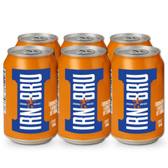 IRN-BRU Original can front view, bold citrus flavor for a refreshing break.