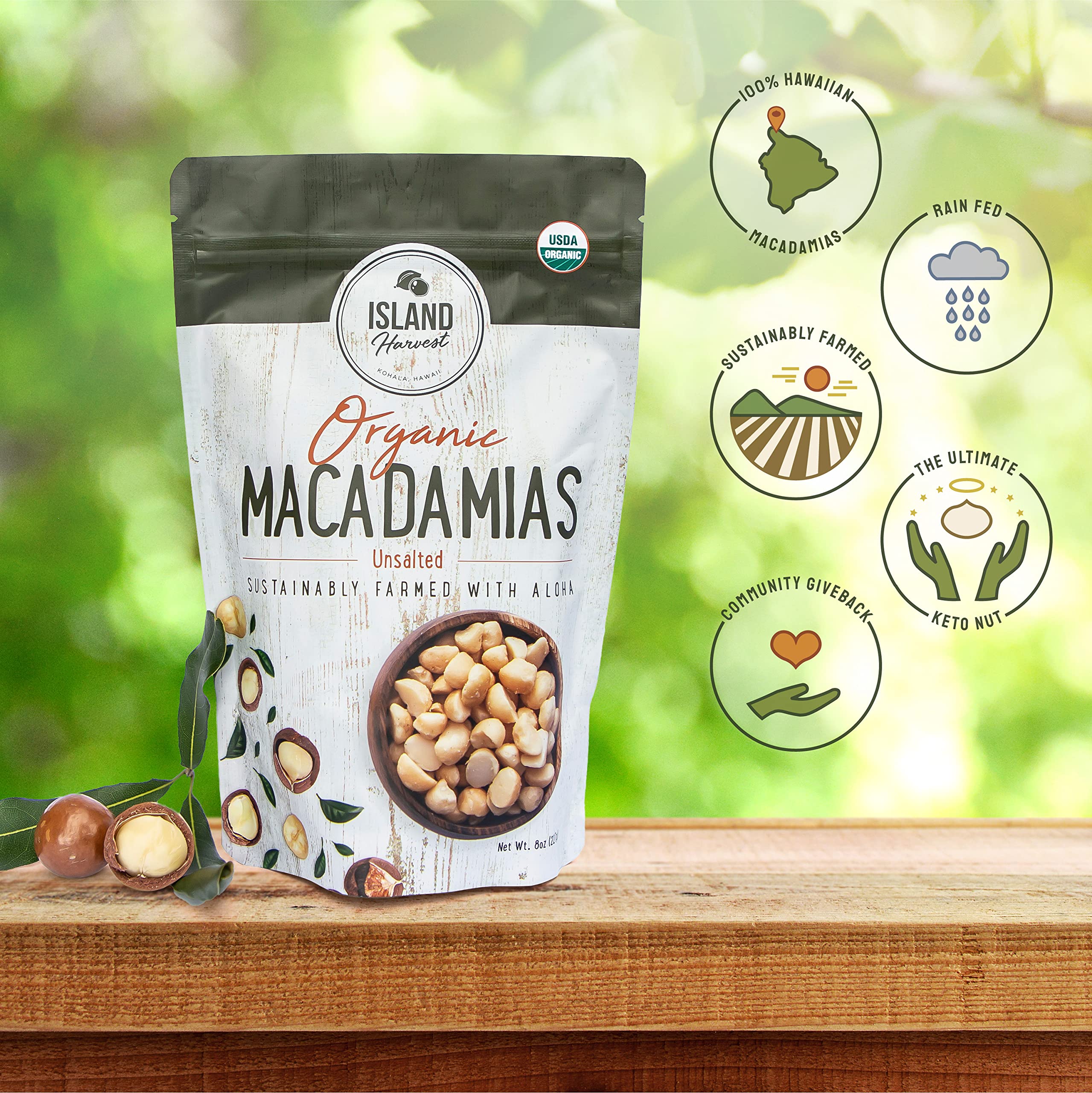 Island Harvest macadamia nuts, dry roasted close-up, highlighting rich golden color and crisp texture.