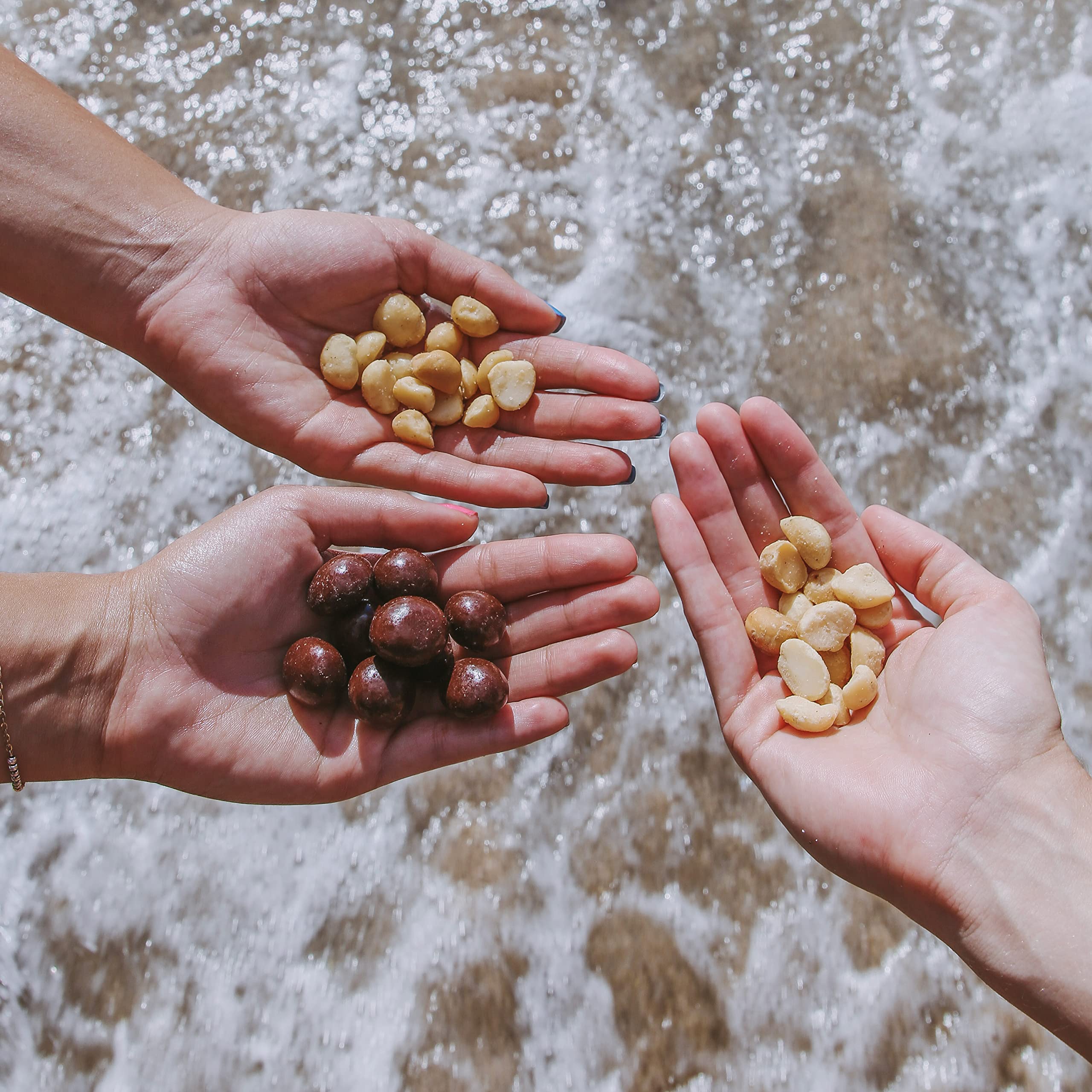 Island Harvest snack-ready plate of macadamia nuts for mindful grazing.