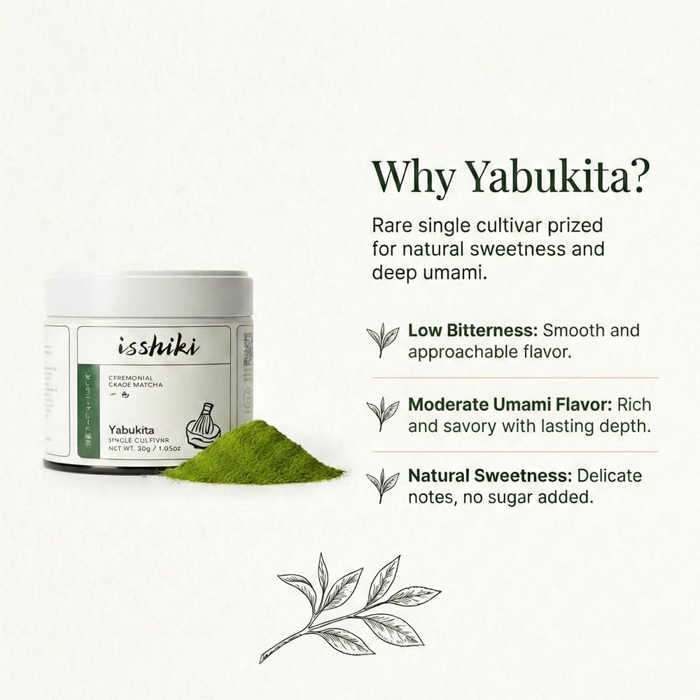 Bamboo chasen whisk with Isshiki Matcha in a traditional bowl for authentic tea.